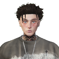 850c459a4dc0.png