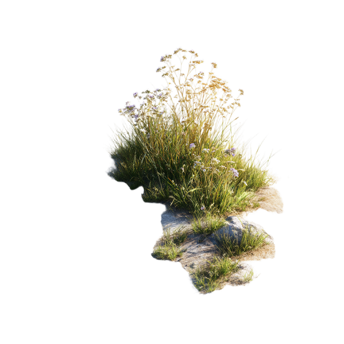 3cfd6fa4ca5b.png