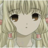 2555.gif