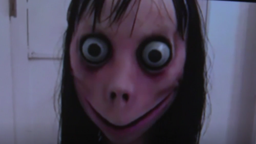 d60d4f1c 9fcc 4ae4 8058 05e885080e19 large16x9 momo2.png