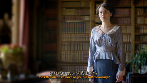 Downton.Abbey.S01E01.2010.1080p.Blu ray.x265.10bit.DTS HD MA2.0 HDS.mkv 20260314 110022.574.png
