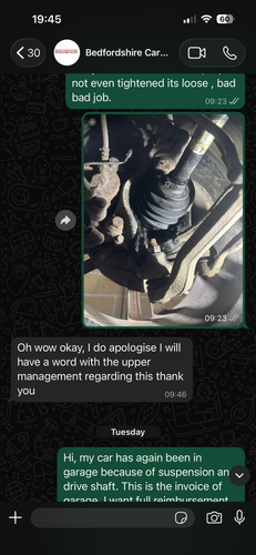 IMG 2593.png