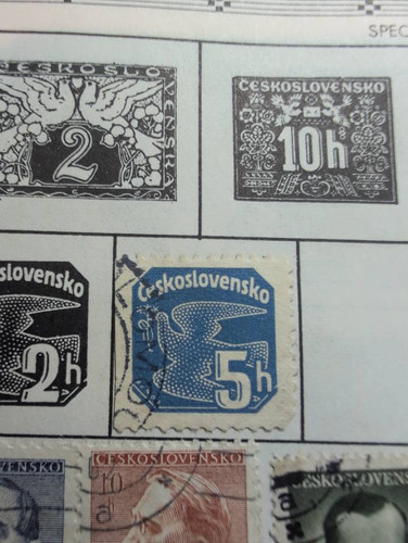 544ee3970e54.jpg