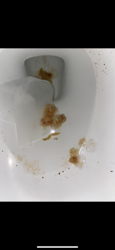 IMG 2405.png