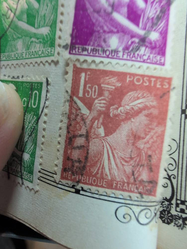 e9995750137b.jpg