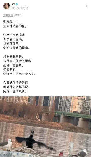 IMG 4977.webp