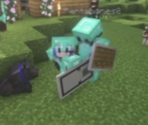 IMG 9355.png
