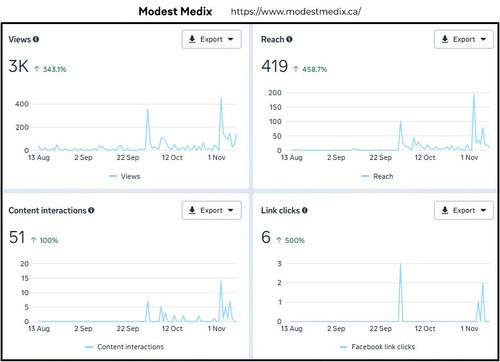 modestmedix.ca.jpg