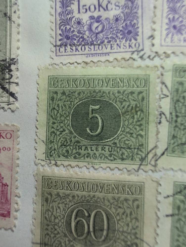 c47a1b94f558.jpg