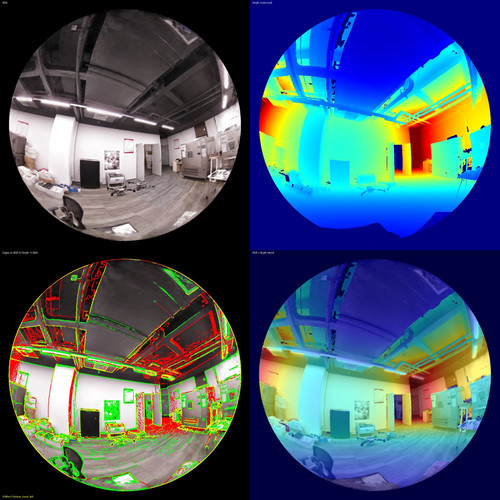 A3Main fisheye head left.jpg