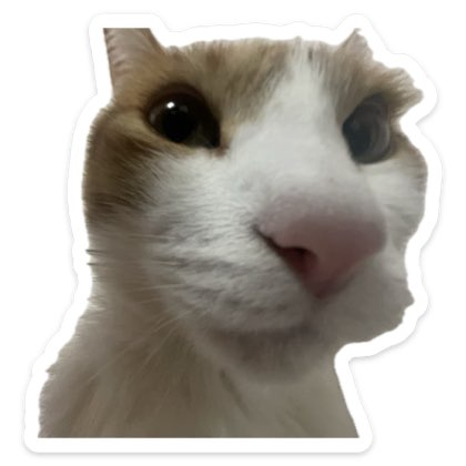 nala meme.1