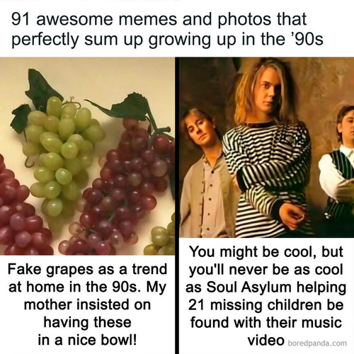 curiosities memes.jpg