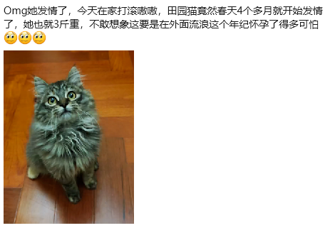 FFA9FBB67EB34435ED73DA767C80EAEB.png