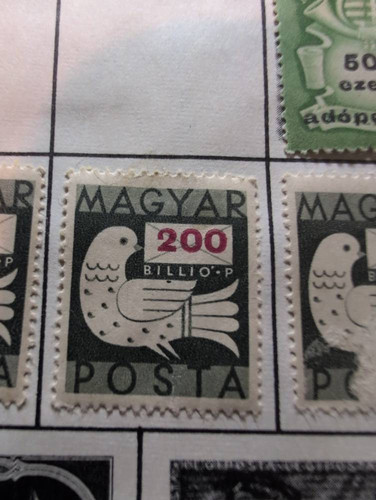 1168fb2315ae.jpg