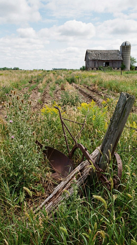 Abandoned field early regrowth 9900c73dc9.jpg