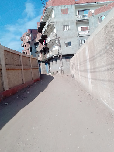 محلات قرية اسنيت كفر شكر قليوبية منتصف القرية (16).jpg
