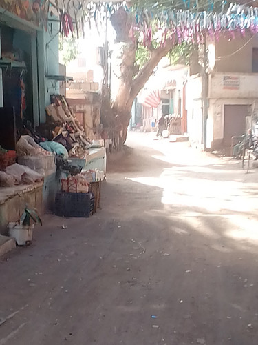 محلات قرية اسنيت كفر شكر قليوبية منتصف القرية (14).jpg