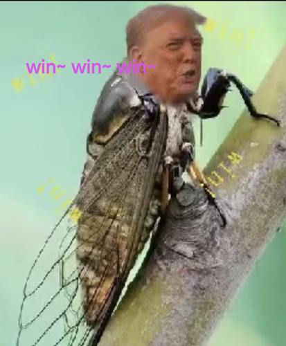 IMG 6893.png