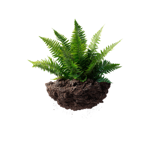 a4a4f55849ba.png