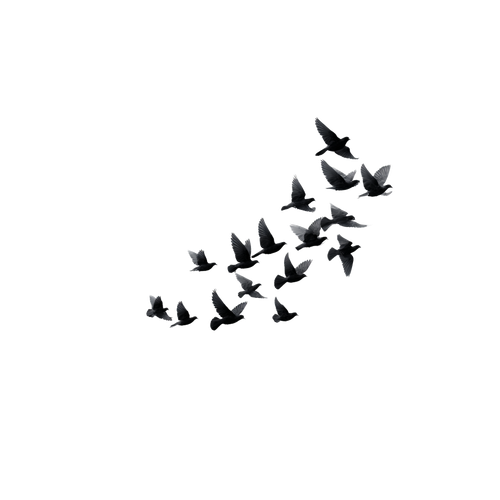 96968e3335cc.png