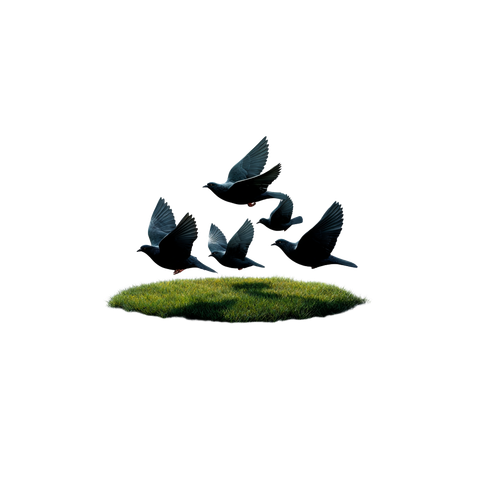 447a705db726.png