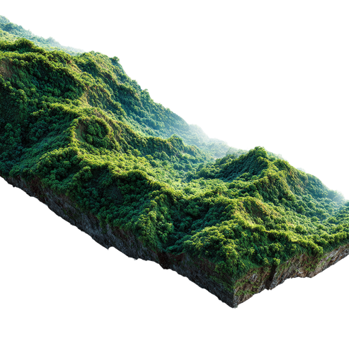 21b49c111325.png