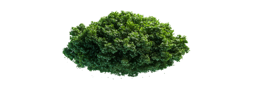 181d9c24c13a.png