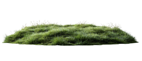 7dd25509b82d.png
