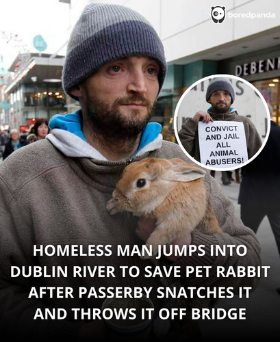 203. Homeless man saves a rabbit that a passerby threw over a bridge multiple sources.png