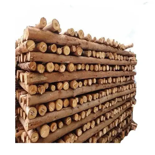Escoras de Eucalipto.webp