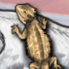 Beardie.png