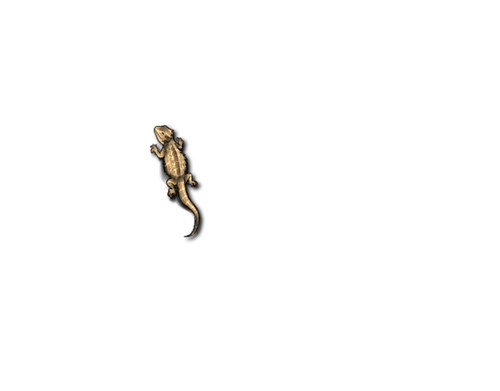 Male.png