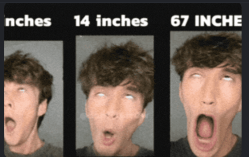 67 inches.gif