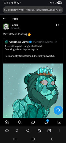1000704257.jpg