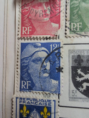 8f2e1321a1b7.jpg