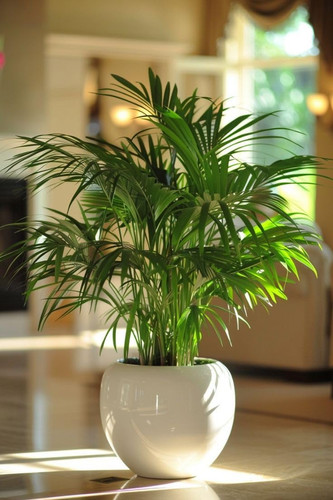 61Zv2D3zK+L. SL1104 .jpg