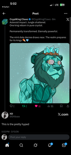 IMG 9811.png