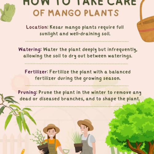 Take Care Of Plants Poster 660x740 1 610x610.jpg