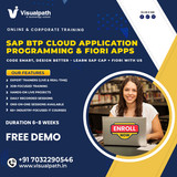 Enroll in SAP BTP CAP Training with Visualpath