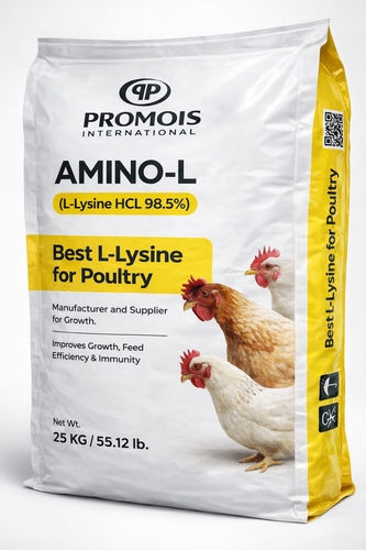 Best L-Lysine for poultry Manufacturer and supplier for Growth.png