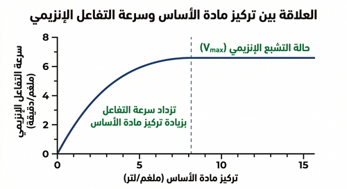 Gemini Generated Image b4tohzb4tohzb4to.png