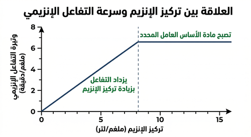 Gemini Generated Image s9tf6cs9tf6cs9tf.png