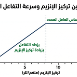 Gemini Generated Image s9tf6cs9tf6cs9tf