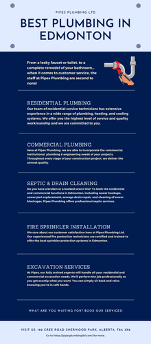 Looking for a professional company for the best plumbing in Edmonton at a fair price? Get the high-notch service by Pipes Plumbing Services LTD by the team of experts. Get all the services such as Commercial Plumbing, Residential Plumbing, Excavation Services, Video Inspections, and Sprinkler Installation at fair prices. Feel free to contact us at 780-699-3283. Visit: https://pipesplumbingltd.com/edmonton-plumbing/