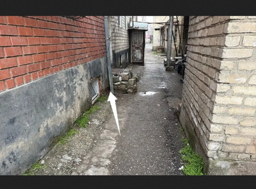 IMG 20260328 175154.jpg