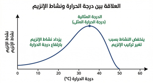 Gemini Generated Image 40gjbc40gjbc40gj.png