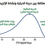 Gemini Generated Image 40gjbc40gjbc40gj