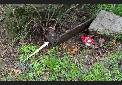 IMG 20260328 180037.jpg