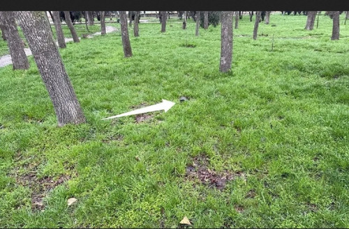 IMG 20260328 180334.jpg