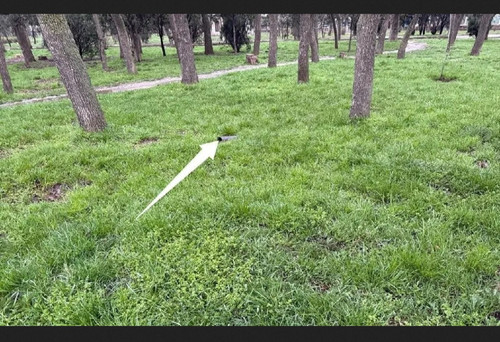 IMG 20260328 180352.jpg